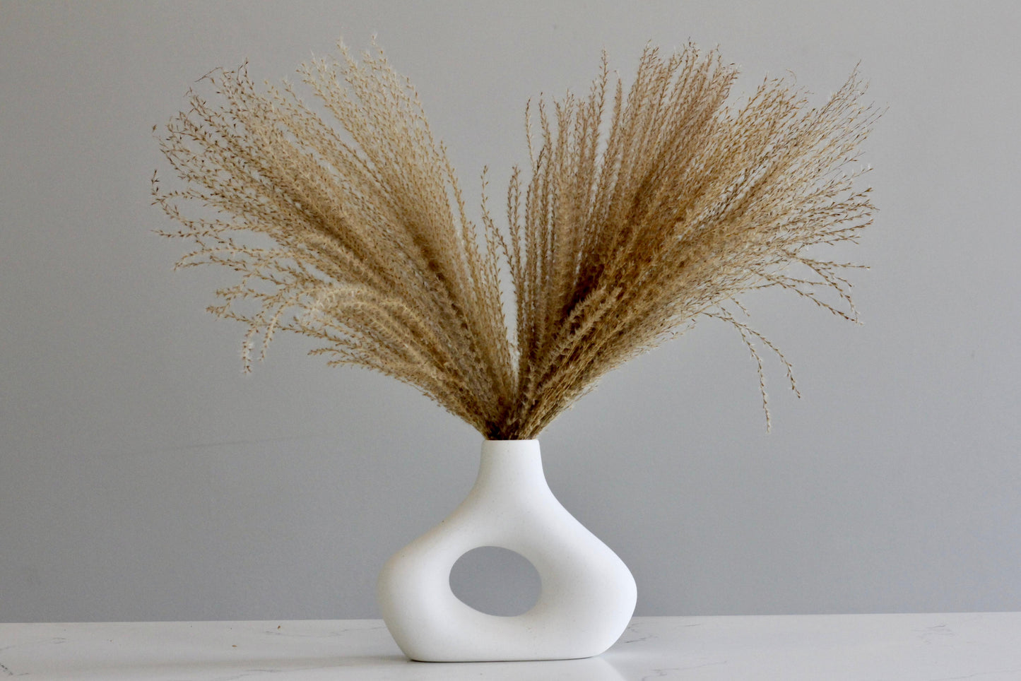 REED