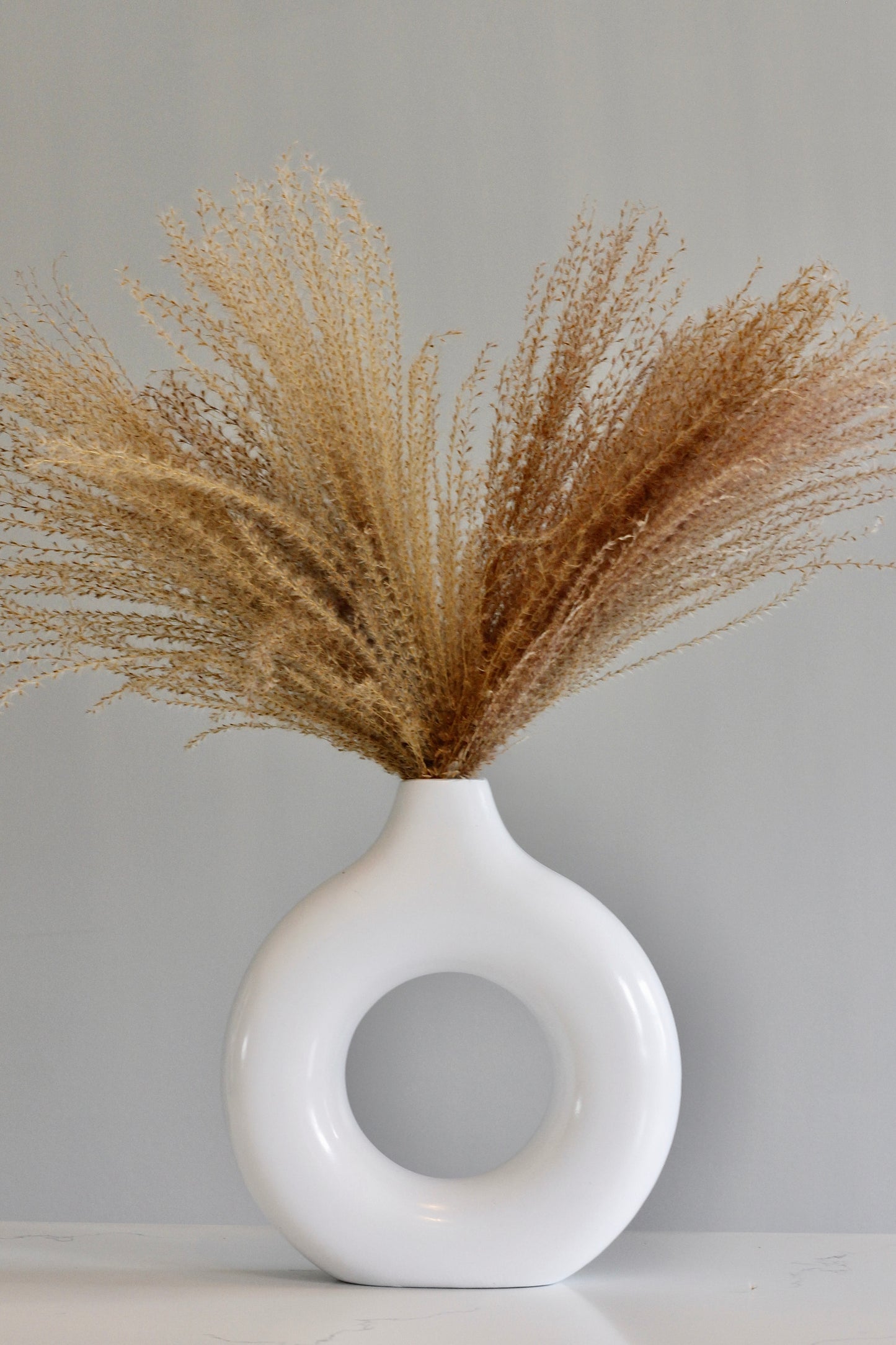 REED
