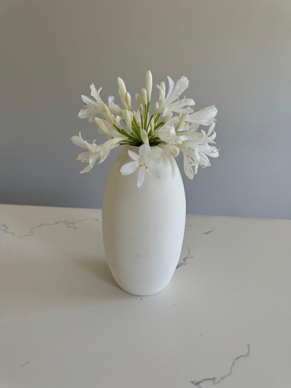 BLOSSOM