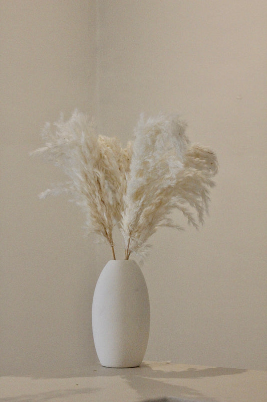 PAMPAS
